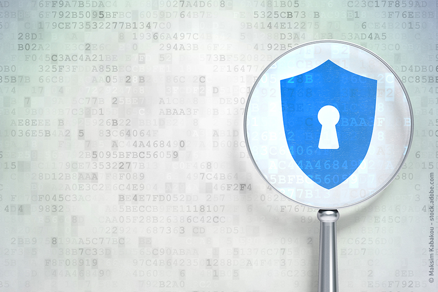 Security-Shield im Netzwerk