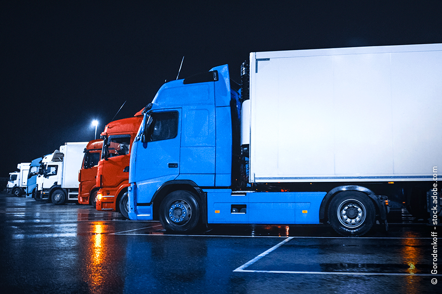 Das Bild zeigt LKW, die nachts in einer langen Reihe auf einem Rastplatz stehen.