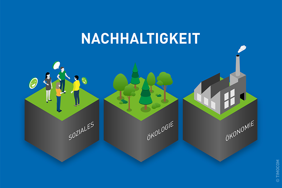 Das Bild zeigt die 3 Säulen der Nachhaltigkeit: Soziales, Ökologie, Ökonomie.
