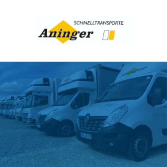 successstores-coremedia-aninger-schnelltransporte-variation-01-page-1